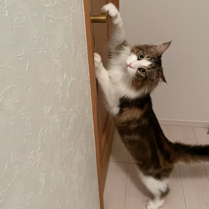 406151de d5be 4ac3 a583 e894ae619122 1668023031053