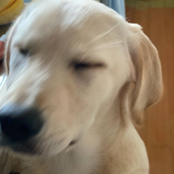 40615946 2c14 43d2 b451 2abe4ba19bd4 1616594623889