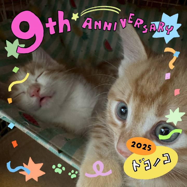 40616c33 b902 4471 a407 7dc3a9390106 1749348695714