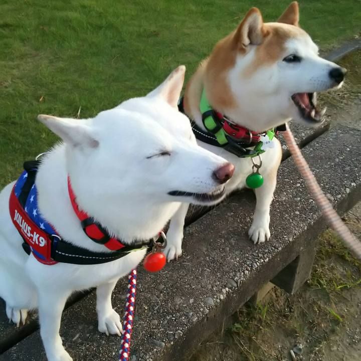 40618d58 7e0f 453f a07b b7201be5a948 1569404827297