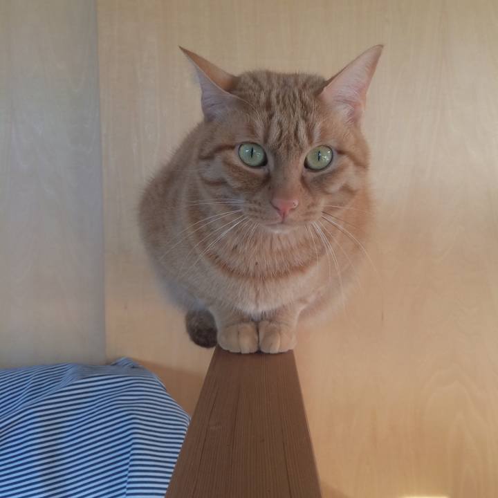 4061b258 244b 46db 952b ddaeace74d03 1516839805694