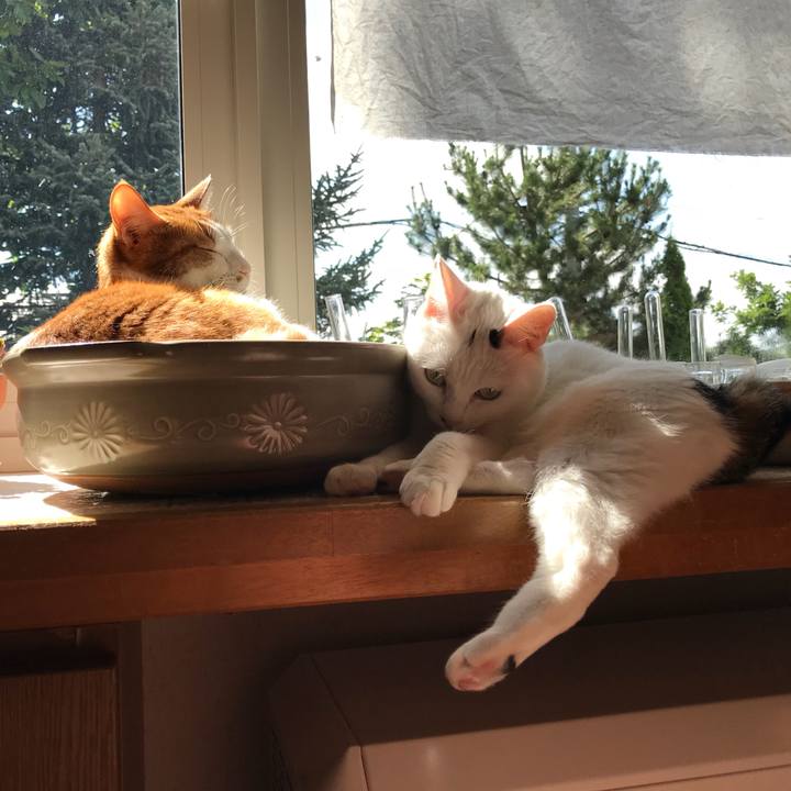 4061bf6f 3d8b 48be ac1f 3c02292fc359 1533339223742