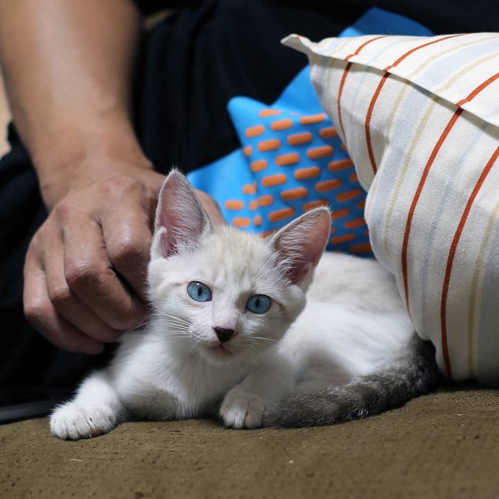 4061e75a d3b9 4090 b76e 3f774ab0dc74 1600400756709