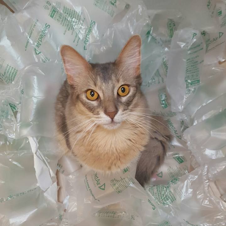 4061ed24 29af 4a51 b907 247b9e3bafdf 1533644296893