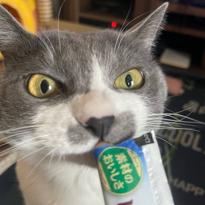 4061fddf 3297 4ff8 b49e 992da4364010 1710572868345