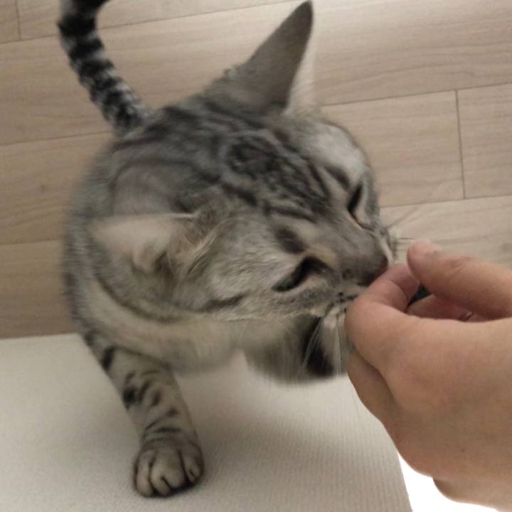 4062169e 7745 4006 be61 7d8121e3681f 1519946618214