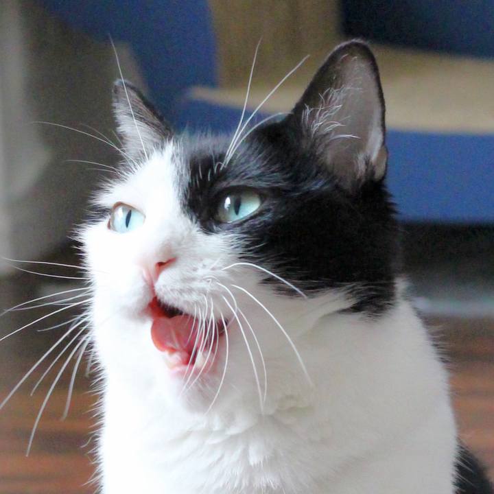 40621dfe 0787 4920 a222 4009672e3df2 1592181297667