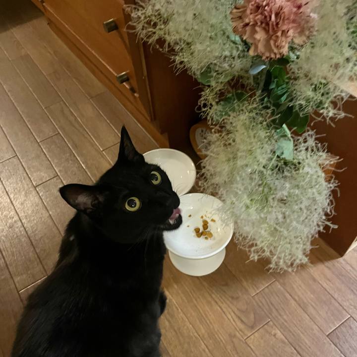 4062503a d785 4e86 961c 450abca21f43 1749205734031