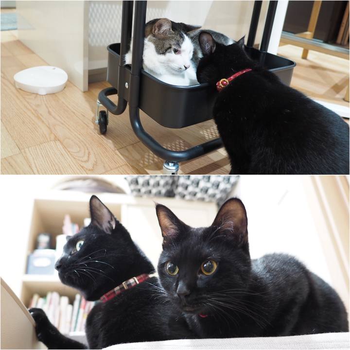 40625749 1042 4454 8723 6c5c389b8ceb 1536277130233