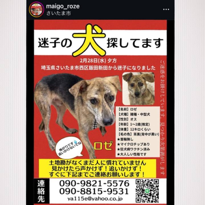 40629f24 74ea 4013 96ee 63daf66a4926 1709826895098