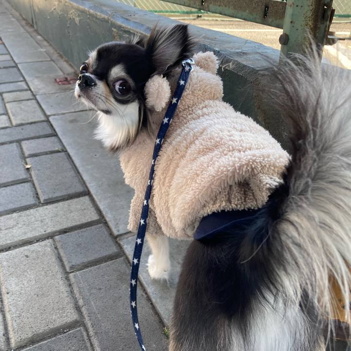 40630fea 089d 411f bb82 5f7ff71c4c74 1644576092017