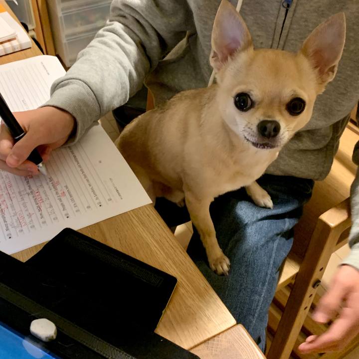 40634a27 e4f2 452c be3f 47998b11bdf7 1589367618951