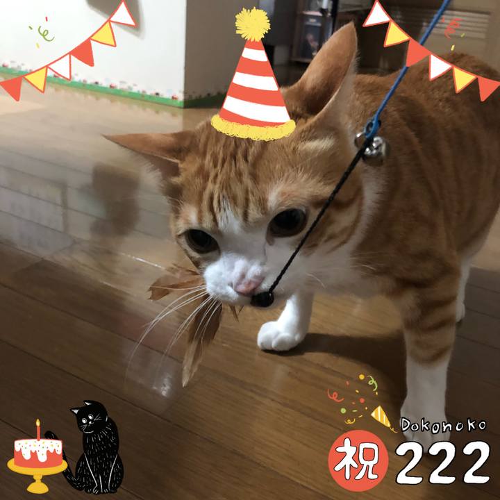 406357c7 9698 4276 8a05 80014b004ebb 1645503033213