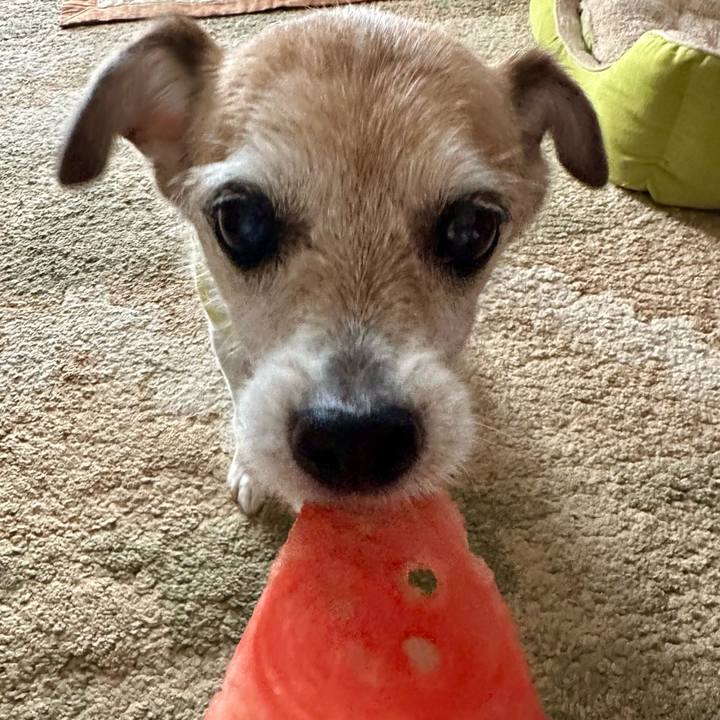 40635abb 43e4 4919 af94 245591dbb385 1688035810378