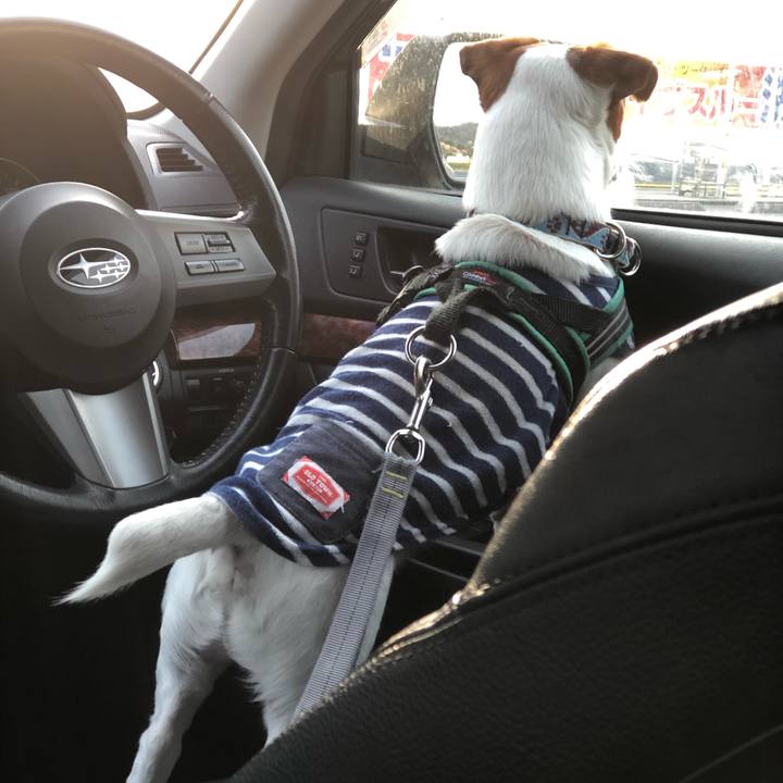 40636d7f 7937 4171 b13d 7654c9ba690e 1585480558088