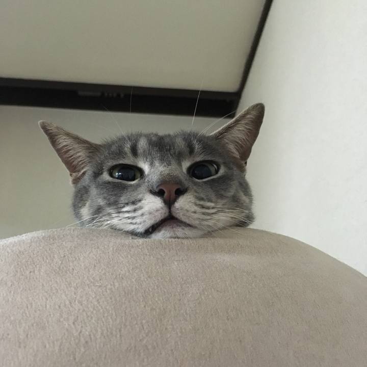 4063af0b b1c2 4e54 9827 da4121dbab8d 1526339891654