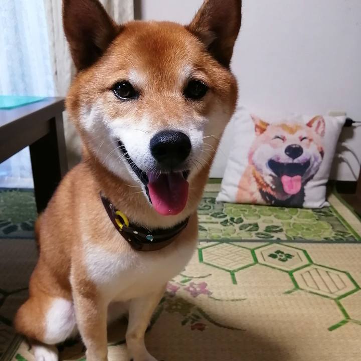 4063c1d6 5514 4e0e b7da d512e8b35098 1630058749615