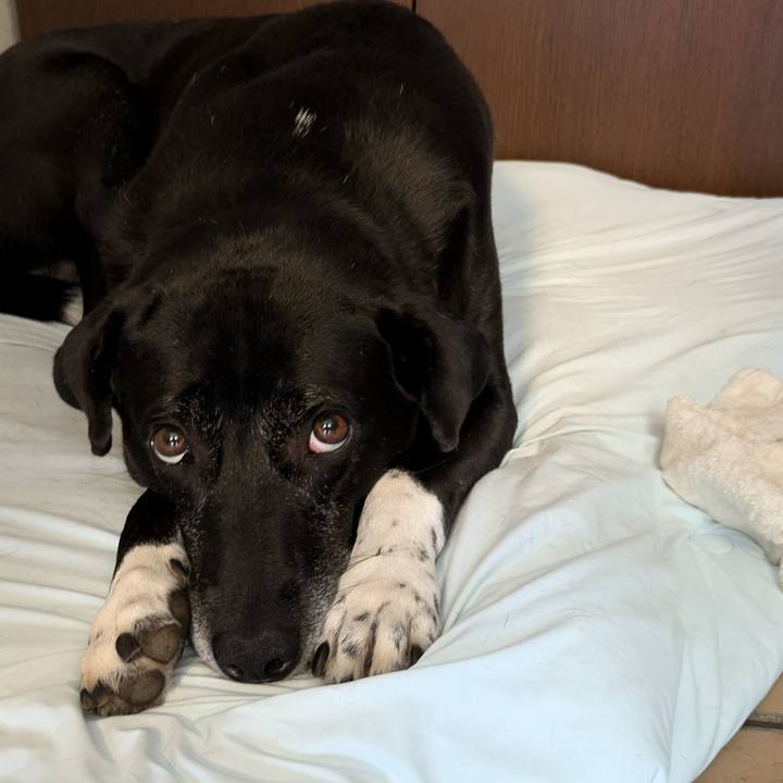 4063da91 0aa5 41ca 94d5 17cd6646a5de 1724062491647