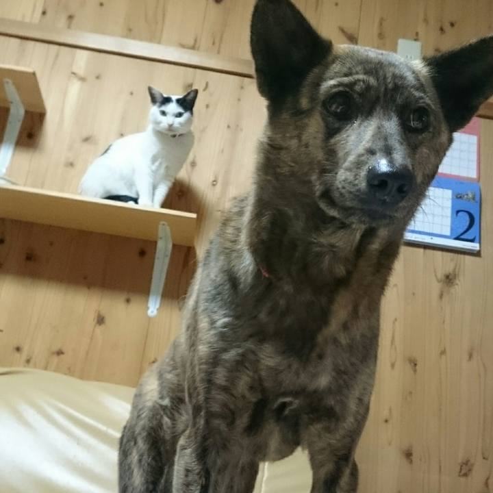 40640e91 82f8 4b47 9f81 e1b5dae333ac 1517126954710