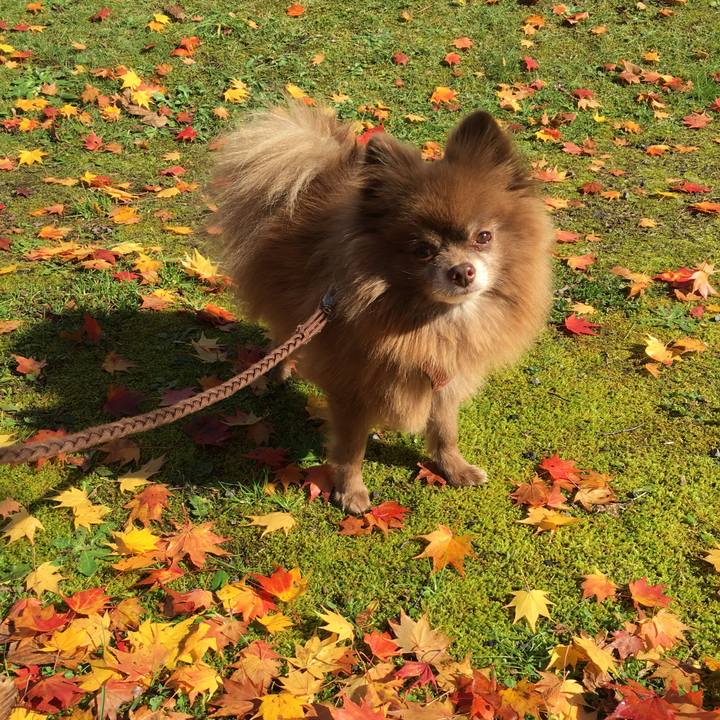 40642dbb d1a0 437c 84af a495c5fb56b7 1509021624888