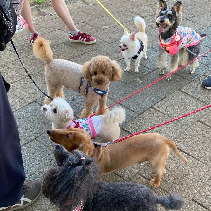 40648aa4 0cf0 4415 8f5f 6d6977c6661a 1691449896840