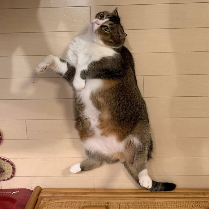 40648f40 a11f 4d2c aa97 87ded621da47 1569072315801