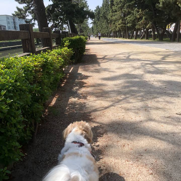 4064adb4 4b34 4b65 827a 5abc3b43b4aa 1620683291089