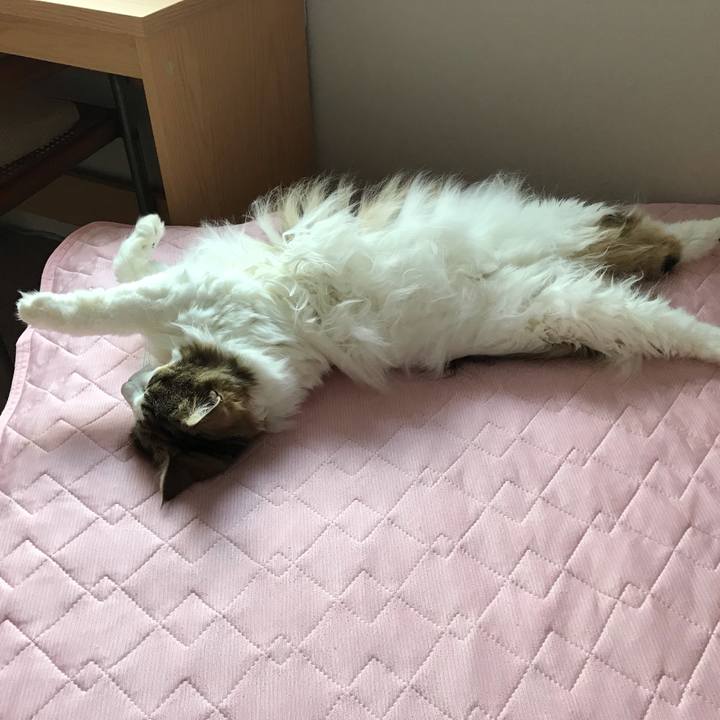 406501c3 0e25 4f53 8dda 79469fc495f1 1630122649754