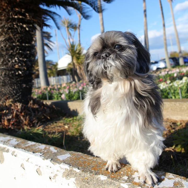 40653b79 6bb8 4ba2 aad0 cc98615bc8f0 1602480582784