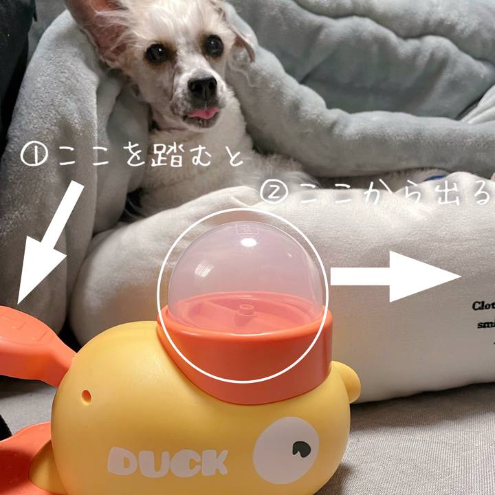 40657819 d685 46e1 9d94 6a72f37f051e 1770774385497