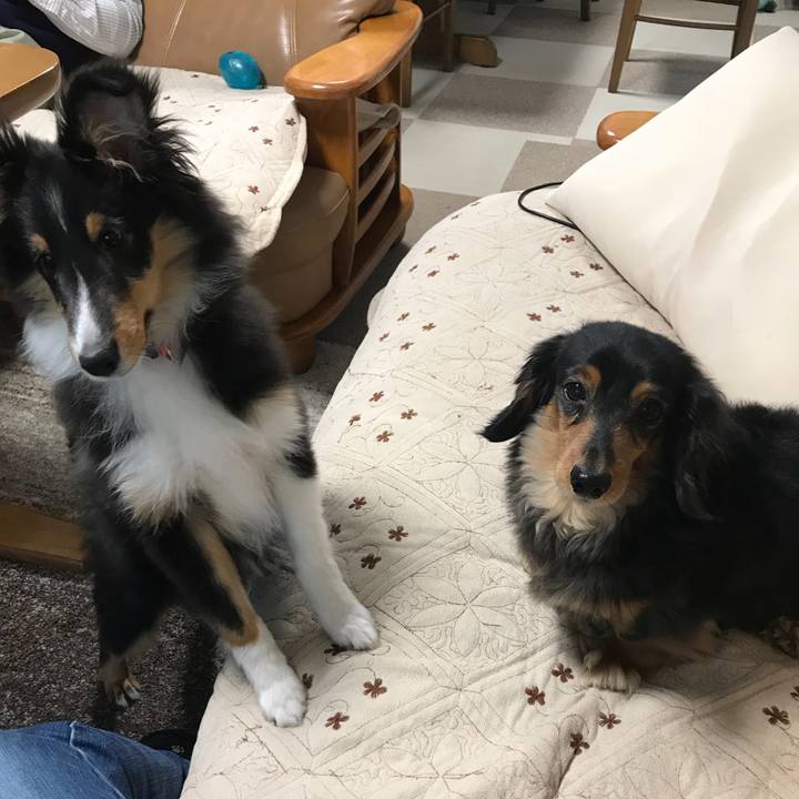 40659f68 3a97 4288 b996 6e146a0b3eab 1515535061494