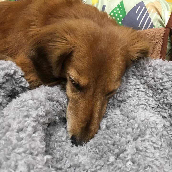 4065d3d8 8a86 4567 b3fb a0b89888f3ea 1611659586489