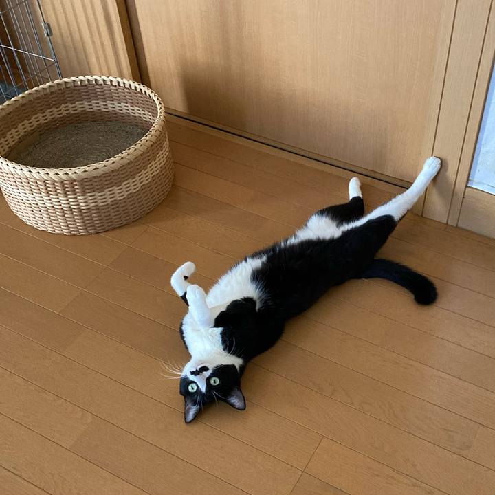 406656bb 7a11 4d94 ba9c 37deb0a7bac9 1726679867677