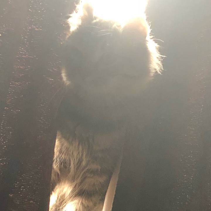 40668ff1 efc8 4823 bc92 f2182a453d7f 1523857118512