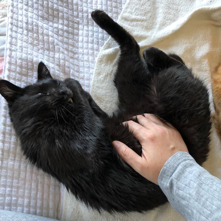 4066bfe4 3ca0 4e7a 9b80 2ff4ee099455 1590048086472