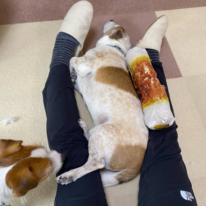 4066d344 92ae 40fb a55f 9847821e3e6b 1643425236854