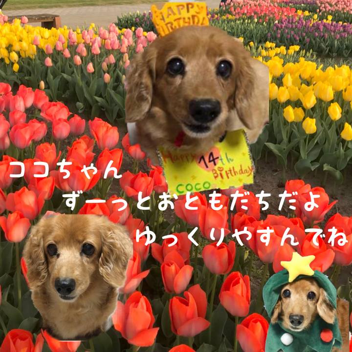 4066e15d f0c8 4b26 b78b 694bf5eee478 1578883518413