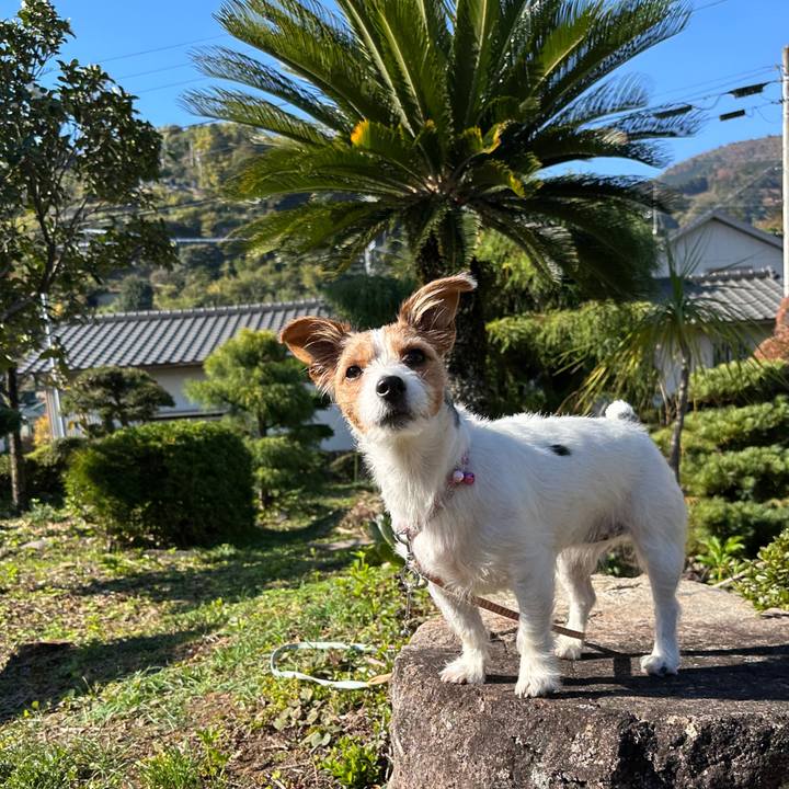 4066e5d8 b2f4 4bb0 bdcd 00dc6eddefa5 1763948507047