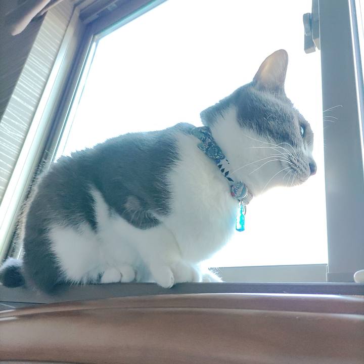 406705f3 1cf3 4073 a9f4 12fc9d9e7d2f 1673221511389