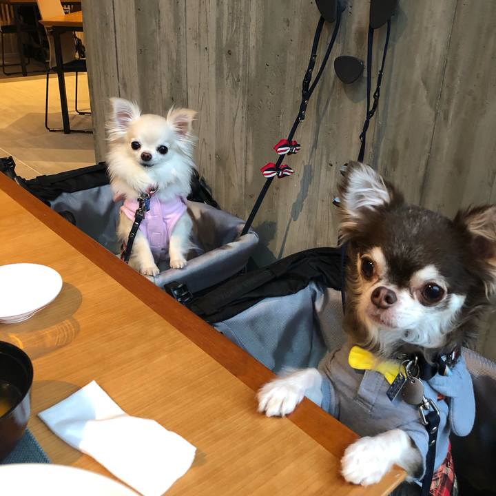 4067717f 67e1 46ec ad70 e5a9ebef6d36 1553909957053