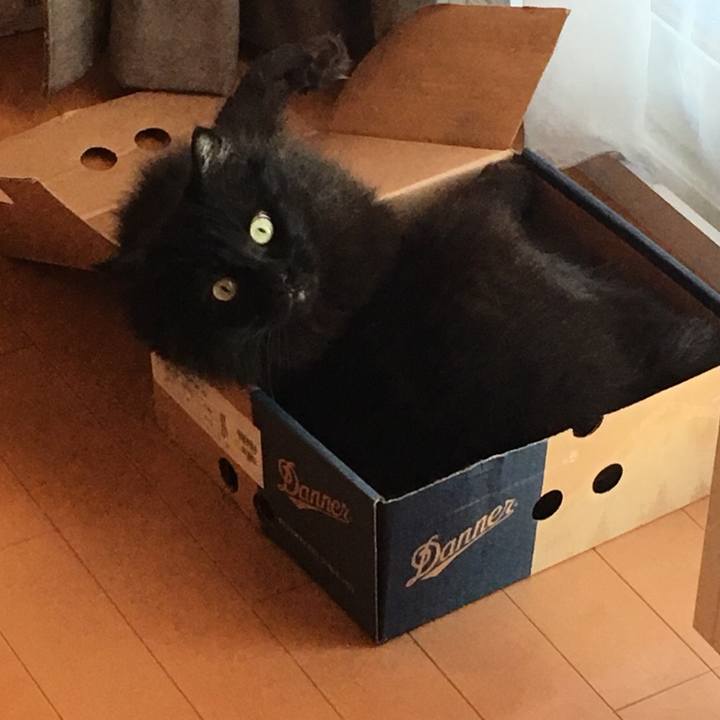 406786f0 e43a 48ce 8306 4650642edbda 1551290162742