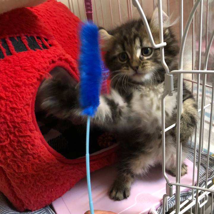 40678c7b 330d 4342 bc7e 07aa7b655aa8 1570147546902