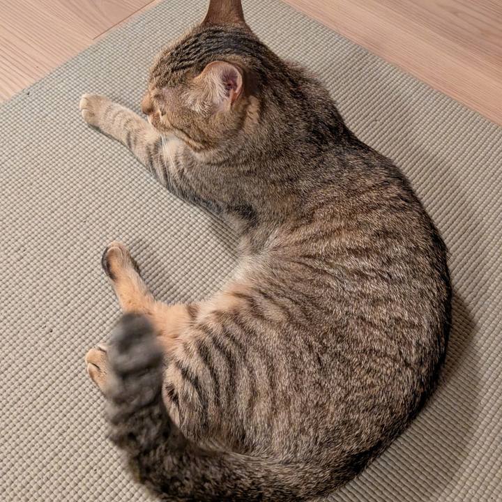 40679dce 5c8e 4a70 878f 06963b61732d 1774822443552