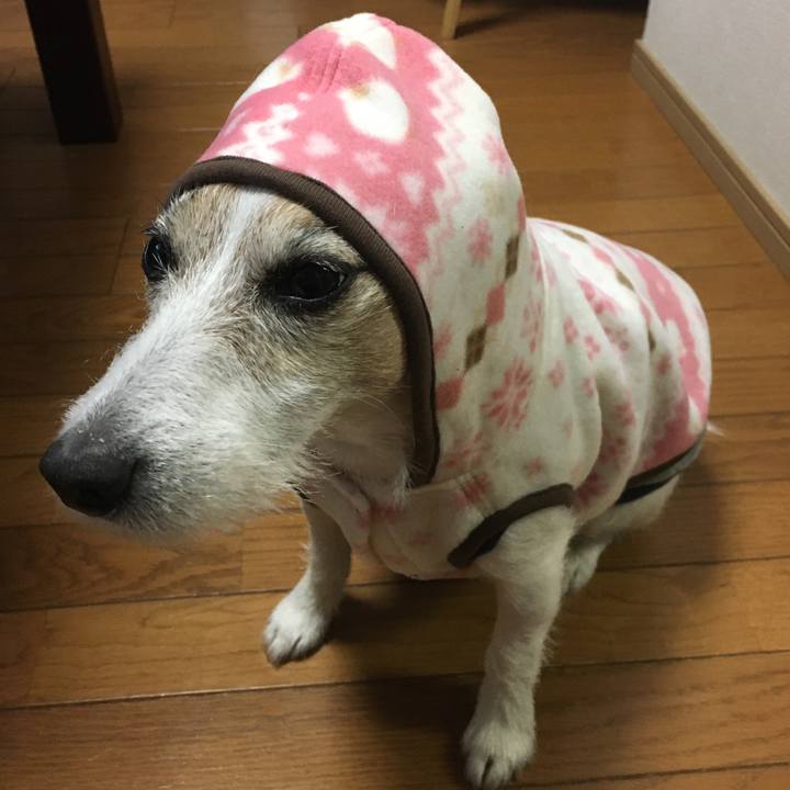 4067a220 de0d 4db8 bf9f 3bae89188e7c 1613781948474