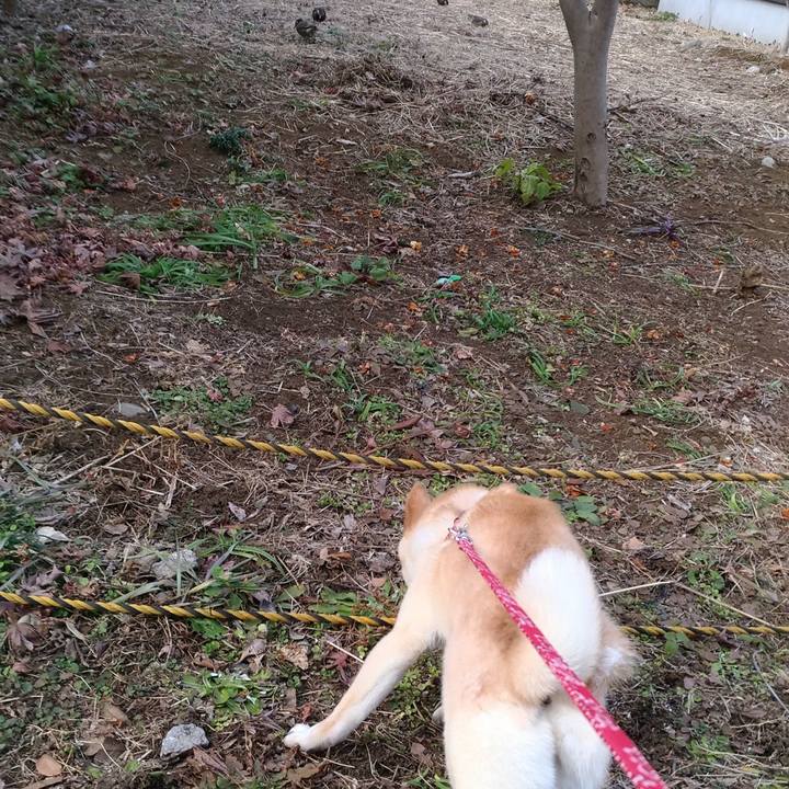 40683047 0e0a 4084 9134 8eea321aa304 1518521262789