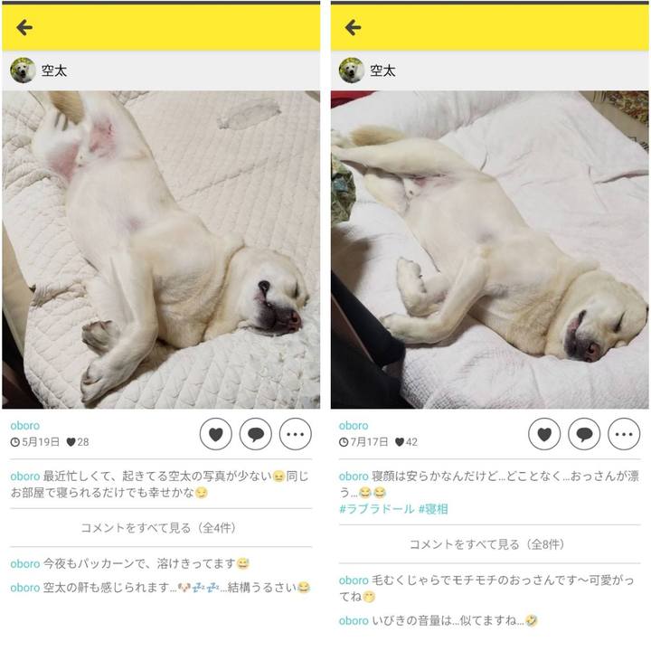 40685af6 7db0 4218 af3a 5b8e376c9c9f 1658478082866