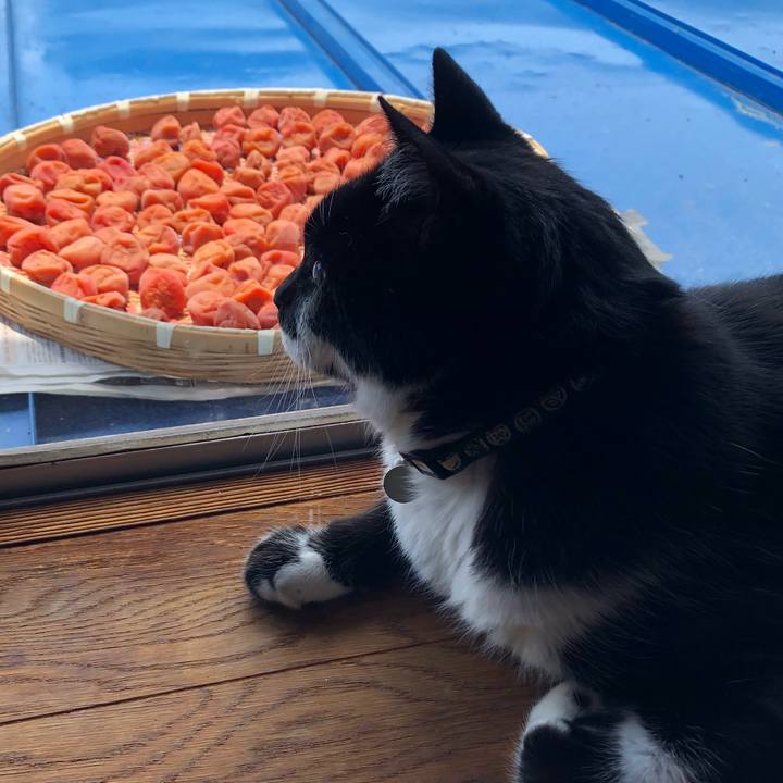 406875ba 2366 4623 a02a 2cb28c94a6a8 1531705395041