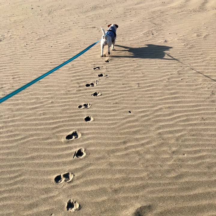 40689347 df5d 4c25 bad7 fae8fd095d86 1637222667678