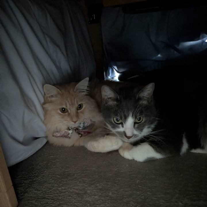 40689469 dbf3 4e53 930c 46efaf433f4e 1766367651868