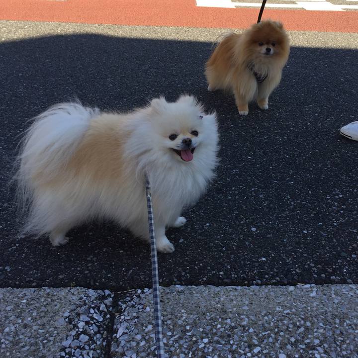 4068b473 1bce 4f05 abcb 0754dd214ec2 1604981159644